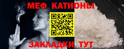прущие грибы Камышлов